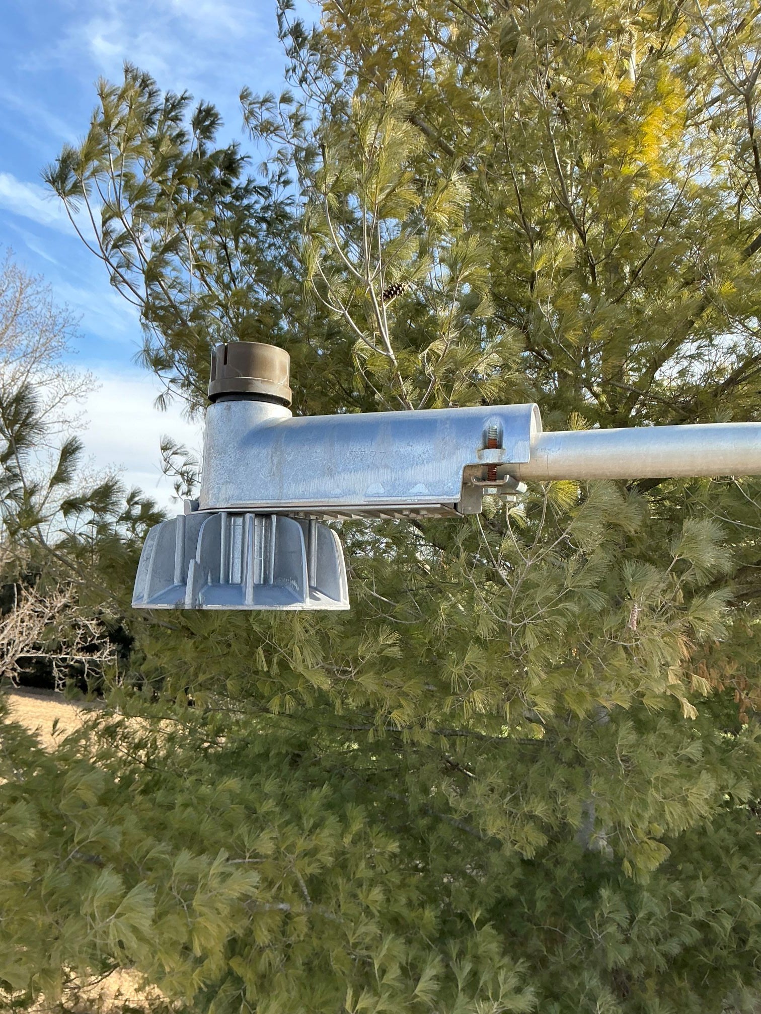 Rental Light - Reduced Size
