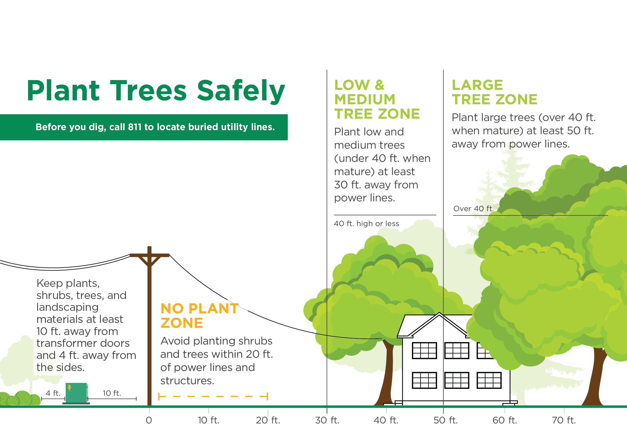 Tree Planting Guide